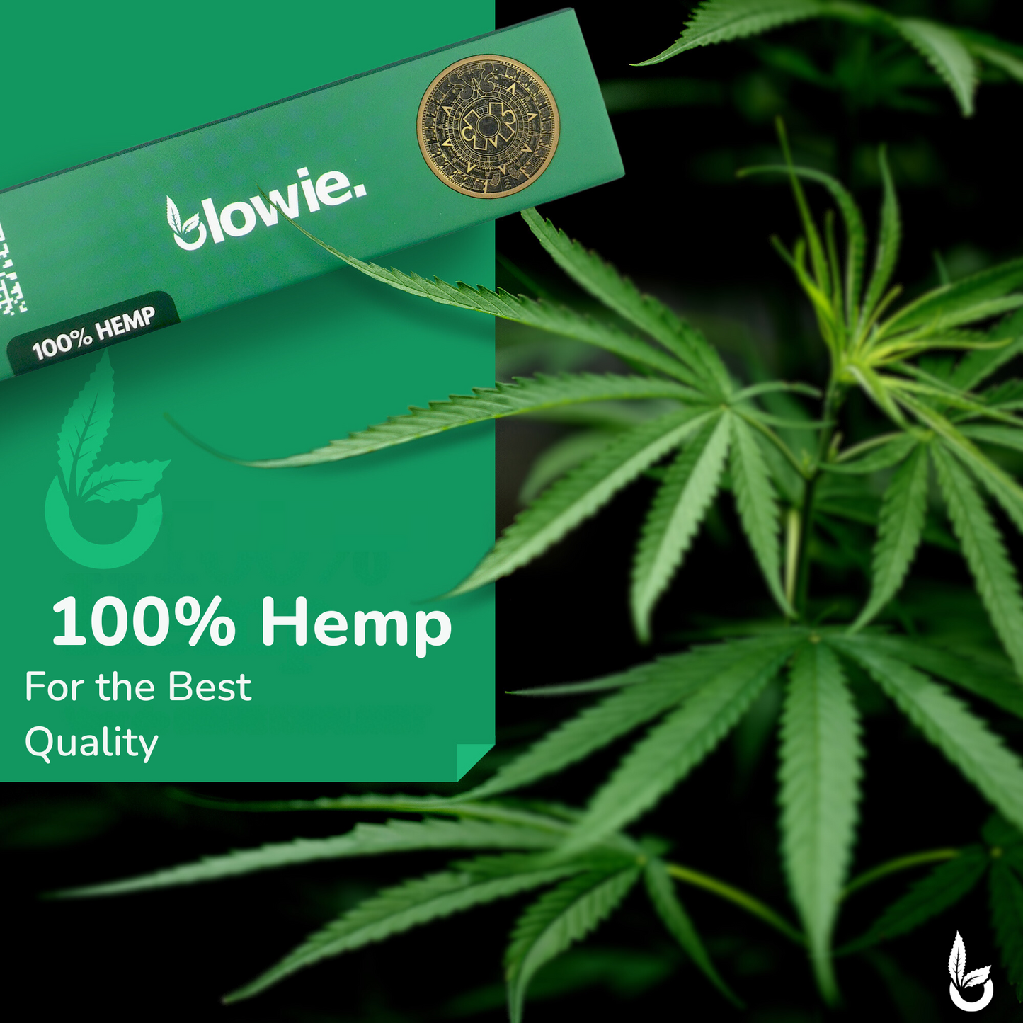 King Size Slim Hemp Rolling Papers + Filter Tips - Blowie
