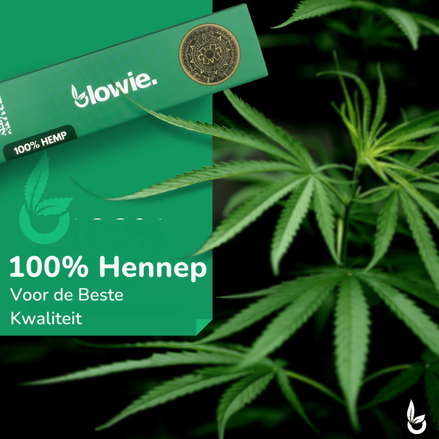 King Size Slim Hemp Rolling Papers + Filter Tips - Blowie